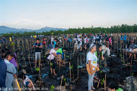 dfa puerto princesa photos|DFA CO Puerto Princesa Joins “Love Affair with Nature” for the .